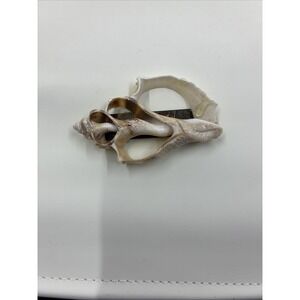 Vintage Center Cut Lampas Shell Slice (3x2")Beach Decor Ocean Magnet